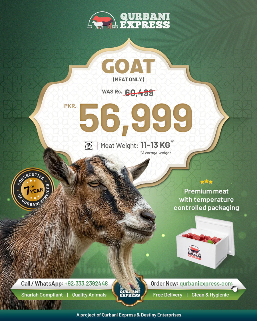 Karachi Bakra Qurbani 2026 — Premium organically-fed goat, 11–13 kg