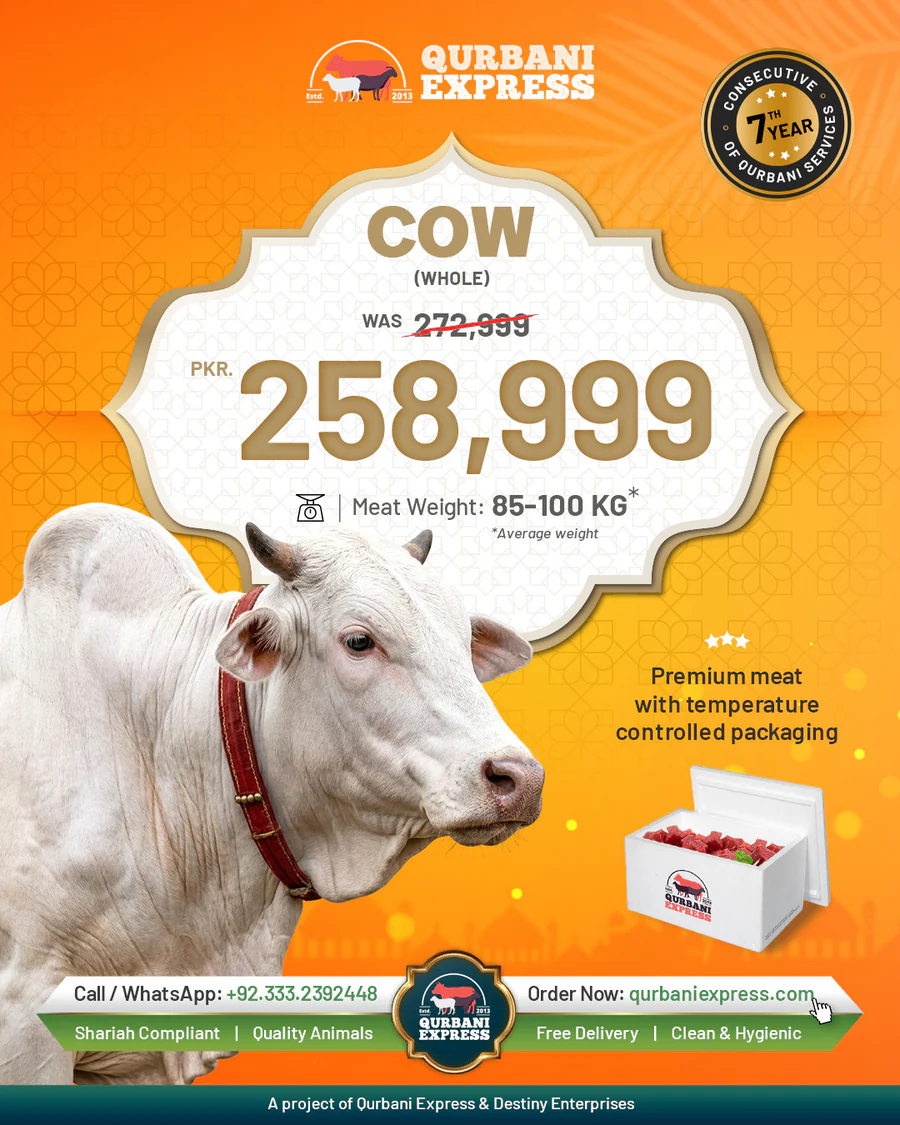 Karachi Full Cow Qurbani 2026 — 85 to 100 kg 7 shares