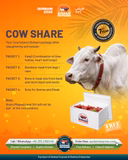 Karachi - Cow Share - Weight: 12 - 14 kg - Qurbani 2026  (Free Meat Delivery)